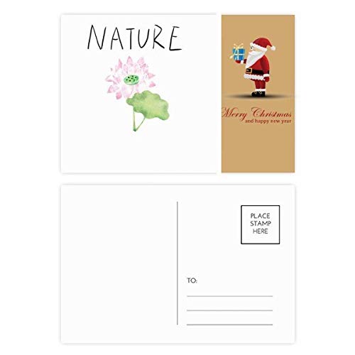 Cartes postales de Noël Lotus Plant Soloisland lot de 20 correspondance