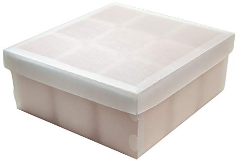 Protea 2194.G.0004, Caixa Organizadora de Objetos com 9 Porta Objetos, Rosa