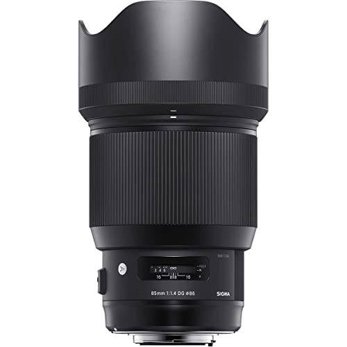 Sigma 24-70mm f/2.8 lens