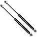 Verin a Gaz Amortisseur Porte Verin de Hayon Hydraulique de Coffre pour Renault Laguna II Hatchback 2001-2007, 2 Pièces Hayon Arrière Ressort à Gaz Support de Levage Accessoire Voiture Tuning