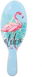 "فرشاة الورود والفلامنجو" - فرشاة شعر كبيرة عملية بأسنان ناعمة للعناية بجميع أنواع الشعر، مقاس (13.5 × 4.5 سم)، لتصفيف سهل وفعال يوميًا في|من عام