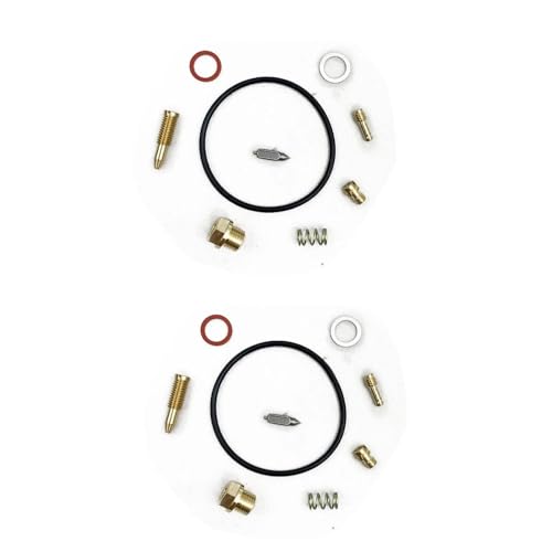 Kit réparation carburateur PZ480 pour résoudre les fuites d'essence Phazer II