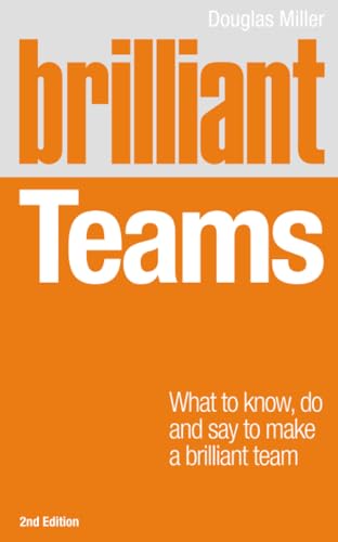 Brilliant Teams view 2