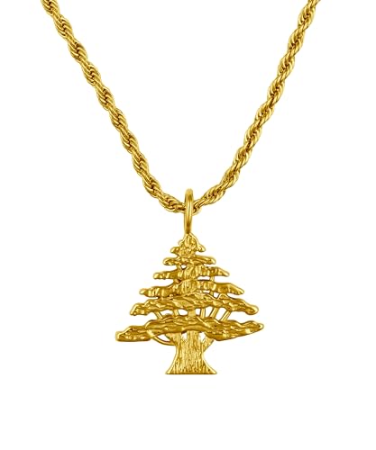 Armoiries Libanaises chaîne homme en acier inoxydable pendentif pays Liban