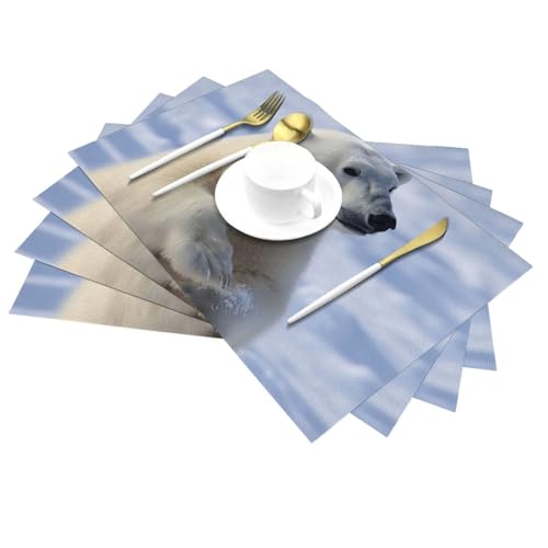 Set de table PVC lavable lot de 4 antidérapant cuisine et extérieur - 4