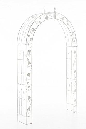 CLP Arche de Jardin en Fer Forgé Emma I Support pour Plantes Grimpante Robuste I Arcade de Jardin Solide et Durable I Treillis de Jardin Couleur, Couleur:Blanc