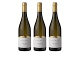 Elena Walch Sauvignon Alto Adige DOC 2025 – Vino Bianco 2250 ml, 13,5% Vol.