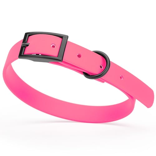 Image of Dogline Biothane Waterproof Dog Collar Strong Coated Nylon Webbing with Black Hardware Odor- Proof for Easy Care Easy to Clean High Performance Fits Small Medium or Large Dogs, Passionfruit Pink