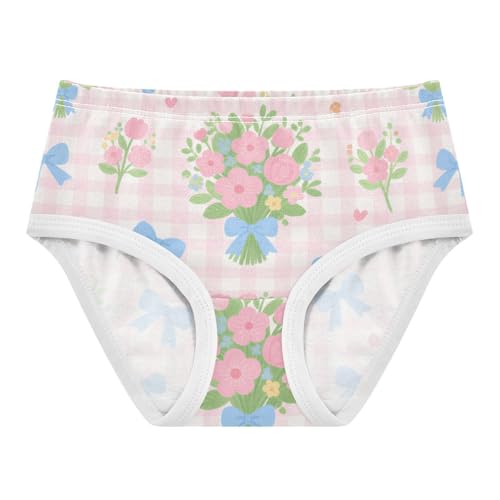 GuoChe Brief Panties Soft Panties Organic Underwear for Girls in Sizes 2T,3T, 4T, 5T, 6Y and 8Y