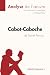 Produktbild Cabot-Caboche de Daniel Pennac (Analyse de l'oeuvre): Analyse complète et résumé détaillé de l'oeuvre: Comprendre la littérature avec lePetitLittéraire.fr (Fiche de lecture)