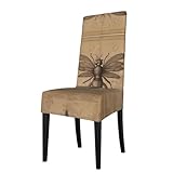 Taille du produit : cette housse de chaise de salle à manger WZYWHJ Ancient Insect Prints mesure 36-46 cm de longueur, 38-50 cm de largeur et 46-56 cm de hauteur, veuillez mesurer la taille de votre chaise avant de commander.