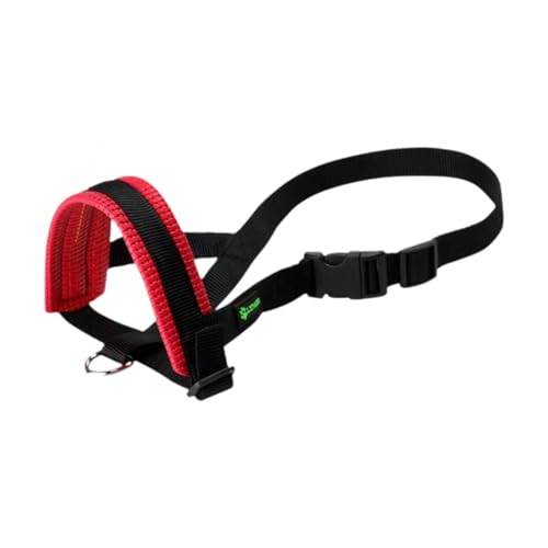 Arnés para perros ideal para reuniones y eventos sociales con mascotas