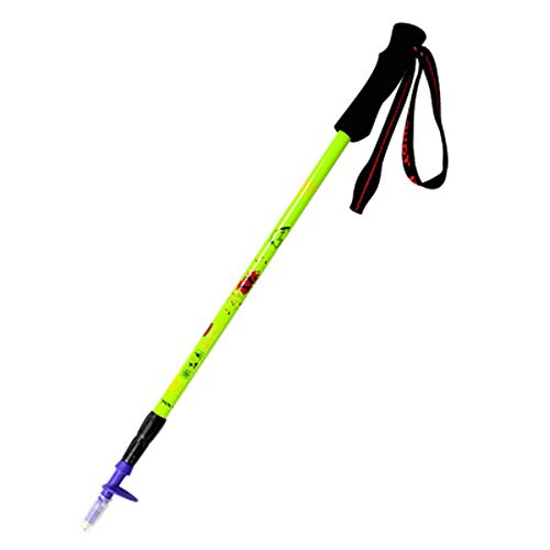 Bastones de trekking de carbono GSP con mango de EVA de alta densidad y acero tungsteno