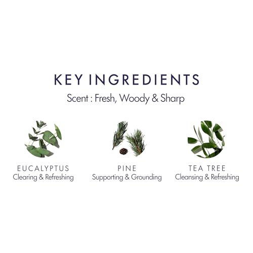 Aromatherapy Associates Breathe Pure Essential Oil, 10ml - Made with A Blend of Eucalyptus, Tea Tree & Clearing Pine Essential Oils - Aromatic Oils to Reset Mind & Body