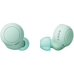 Aldi Auriculares Inalámbricos Sony WF-C500 - Auriculares ´´True Wireless´´, Hasta 20 horas de autonomía con funda de carga, Compatible con Voice Assistant, Micrófono incorporado para llamadas telefónicas, Conexión Bluetooth, Verde
