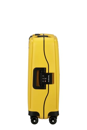 Samsonite Pro DLX luggage