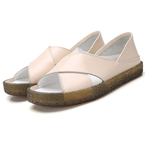 fB[X{vr[tehtbgI[vgDT_AT}[JWARtH[g[C\[XbvIA[`T|[g\tgtbgEH[LOT_[t@[B, AvRbg, 26.0 cm