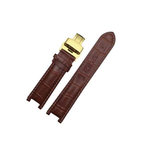 [ȓX] vXgbv Fit For GC p 22*13 ~[g 20*11 ~[gmb`XgbvXeX|obNjƏ̎vxg(Brown gk,20-11mm)