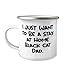 Inspire Black Cat Gifts, I Just Want to Be a Stay at Home Black Cat Dad, Perfect Holiday 12oz Camper Mug From Cat Lovers, Cat toys, Catnip, Scratching post, Litter box, Food bowl, Pet carrier