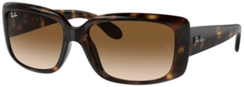 Ray-Ban RB4389 Sunglasses Bundle: RB 4389 710/51 Havana Clear Gradient Brown and Universal Anti-slip Silicone Leash