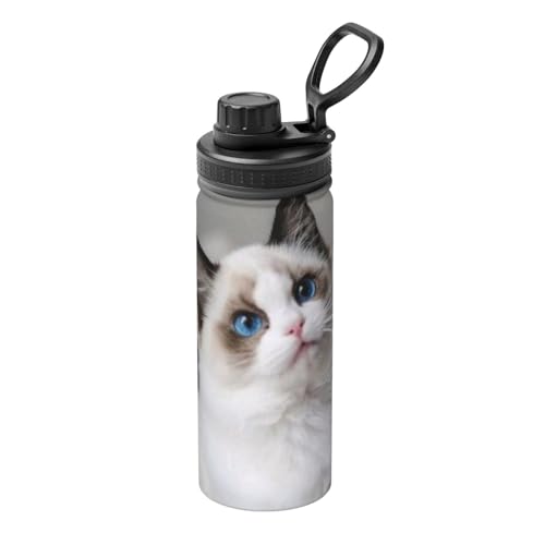 L  y XeX{g nht ^fM ۉ ۗ RȂ nht ʋ ʊw qp l Wt 蕨 532ml 18oz