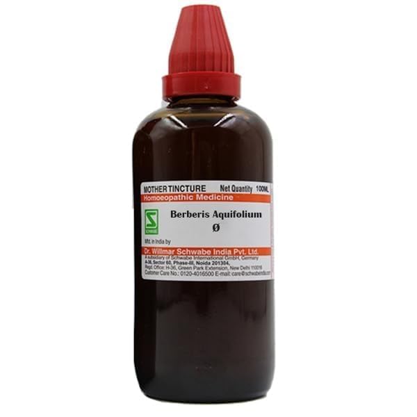 Dr. Willmar Schwabe Berberis Liquid Aquifolium Q - 100Ml (Pack of 1)
