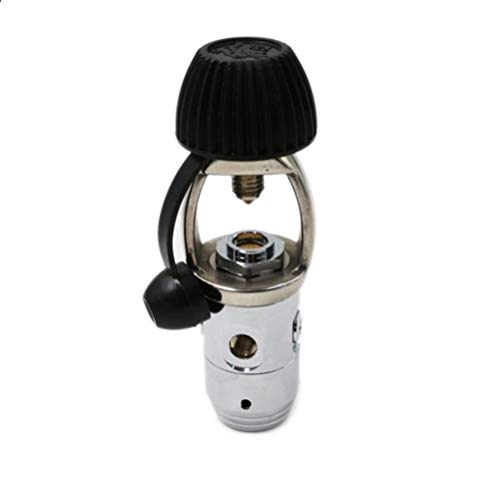 HPDAVV 145PSI Tauchregler, Tauchausrüstung, Zweitstufig-Regler, 55,9 cm Niederdruckschlauch, Octopus-Hookah mit Mundstück, freier Durchflussschutz, Silberweiß Cover