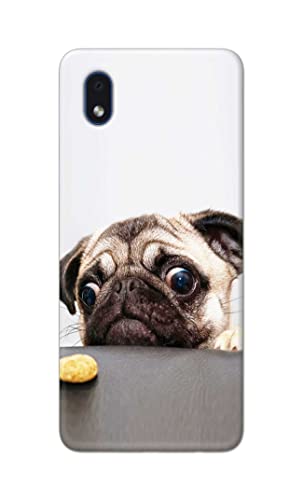 Image of PRINTFIDAA� Printed Hard Back Cover Case for Samsung Galaxy M01 Core | Samsung Galaxy A01 Core Back Cover (Pug Dog) -2808