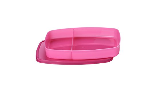 Signoraware Slim Compartment Lunch Box, Bpa Free Plastic, Microwave Safe Food Grade Tiffin Boxes for Office School, Leak Proof Air Tight Compact Dabba (610ml, Square, Pink, 2 Section Storage)