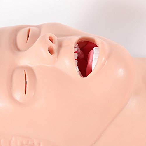 Intubation Manikin Study Teaching Model, 220V Oral Nasal Intubation Airway Management Trainer Pvc Demo (Us Shipping) #TOP2