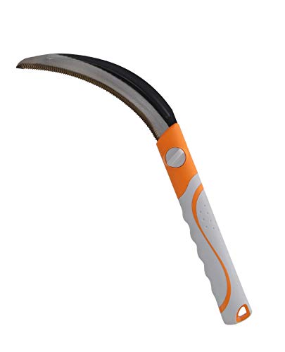 V(Takagi) TCN ֐n n n  MUn ₷ ~߃Obv  n ֐n  ̂   J} { V