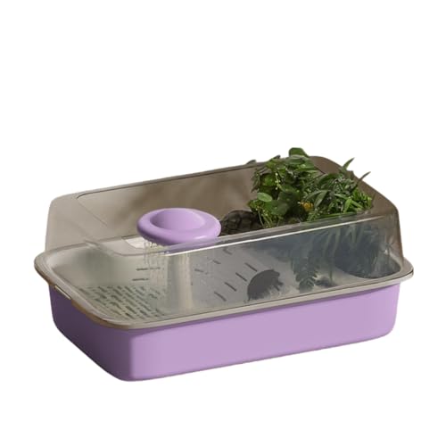 loyfreeyo 亀水槽 カメボックス 脱走防止 日光浴 スッポン 観察箱 排水穴 飼育箱 ボックス 安全飼育 組み立て簡単 プラスチック柵 アオウミガメ ニホンイシガメ エサ入れ (パープル キノコがある)