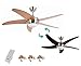Bastilipo 7777-Malibu Niquel Malibu Deckenventilator, LED, mit Fernbedienung und umkehrbaren Flügeln