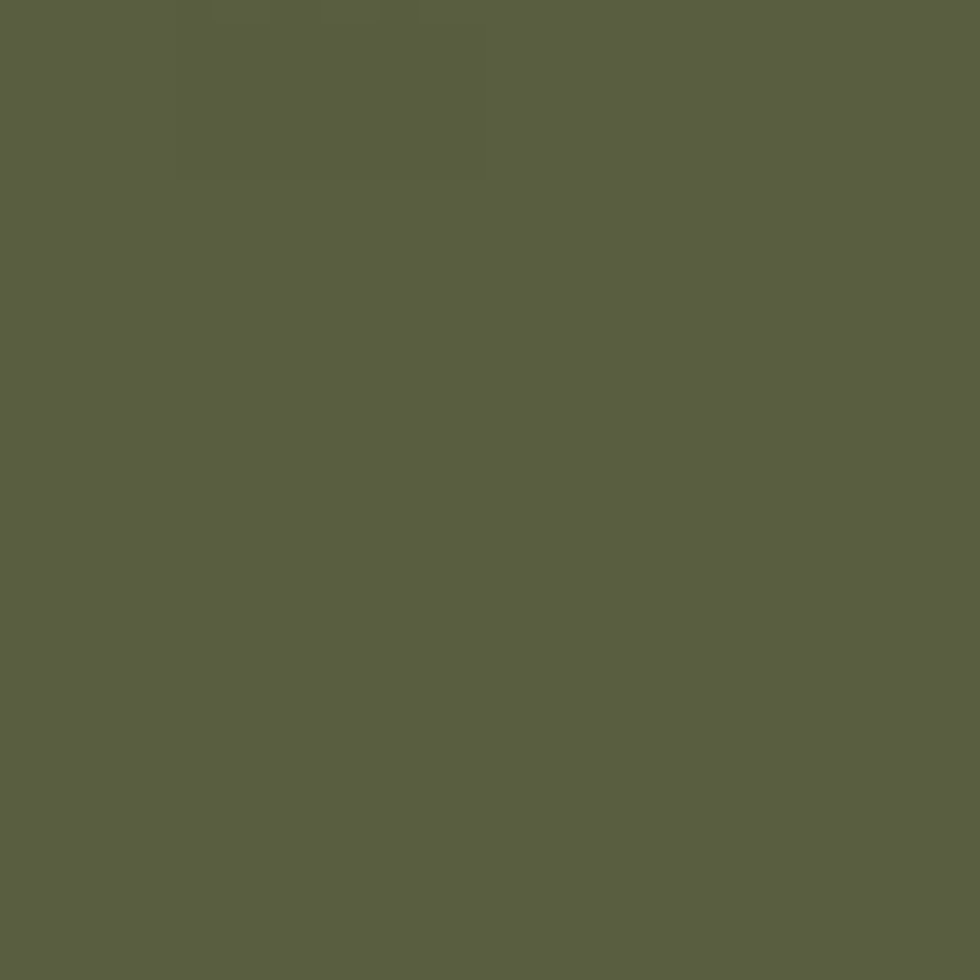 Faber-Castell Art & Graphic Albrecht Dürer Watercolour Pencil, (173), Olive Green Yellowish, For Art, Craft, Drawing, Sketching, Home, School, University, Colouring