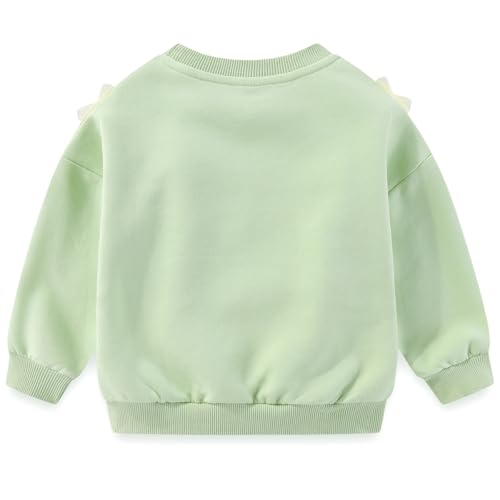Image of Peacolate 2-7T Spring Fall Summer Little Girls 2pcs Clothing Set T Shirt and Jeans