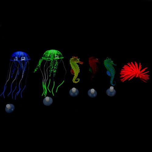 VALICLUD �����p �V���R���N���Q�ƃ^�c�m�I�g�V�S ���鐅�������i ���ɗD���� �l�H�N���Q�A�N�A���E������ 6�Z�b�g