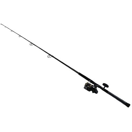daiwa bg surf combo