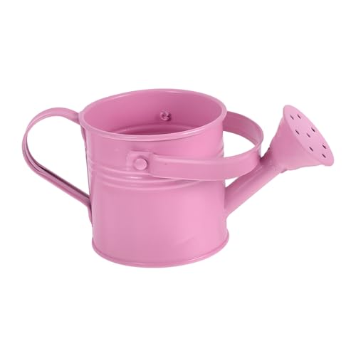 ibasenice Regadera para Plantas Regadera Decorativa Regadera para Bonsáis Mini Regadera Regadera Pequeña para Interiores Regadera De Metal Regadera Bonita Regadera De Hierro