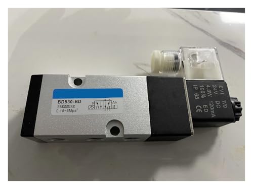 Pression pneumatique BD530-BD 0,15-8MPA pour système industriel