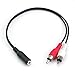 FAMKIT Receptor Bluetooth, Adaptador Bluetooth 2 en 1 Receptor de Audio estéreo...