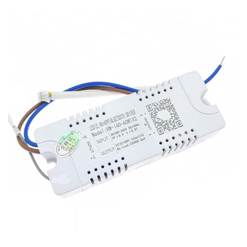 Pilote de LED intelligent 40-60W x2 pour réparer un éclairage de plafond en panne