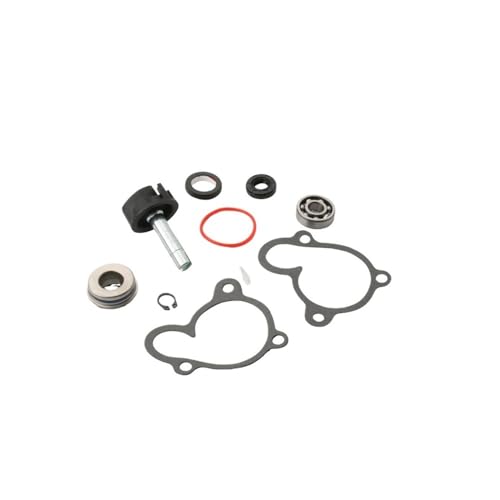 Kit de réparation de pompe à eau 300cc 250cc 4T étanchéité moteur - 6