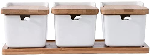 TBLOTYD kitchen Condiment jar Ceramic Seasoning Box Set High-Temperature-Fired Sugar Bowl Square Seasoning Pot Spice Container for Sugar Serving Spices Salt C