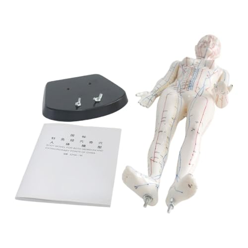 Muñeca de acupuntura femenina de 48 cm con meridiano y 361 puntos de presión, modelo de entrenamiento de PVC transparente grabado para terapia de masaje