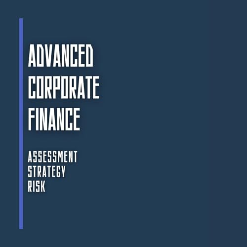 Advanced Corporate Finance: Assessment, Strategy and Risk by Camila Ferraz episode artwork