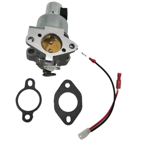 Carburateur 12 853 107-S résout les problèmes de démarrage sur CV490 CV491