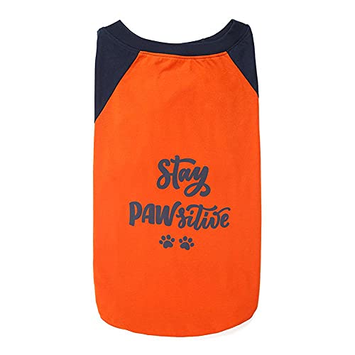 Image of Heads Up For Tails Stay Pawsitive Doggie Tshirt - S