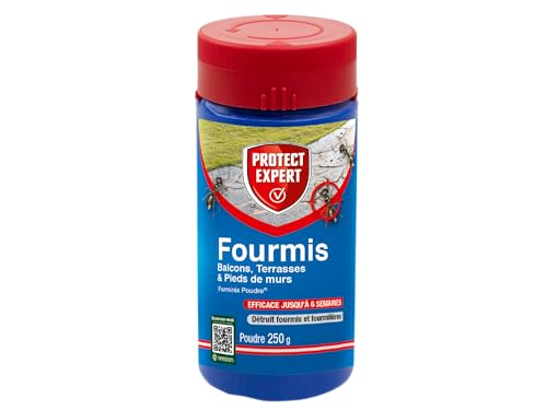 PROTECT EXPERT Poudre Anti-Fourmis Insecticide 250g - Traite jusqu'à 75m2 - Action Choc & Longue Durée - Intérieur Extérieur Jardin Terrasse Balcon - Poudrage Arrosage FOURPOUD250