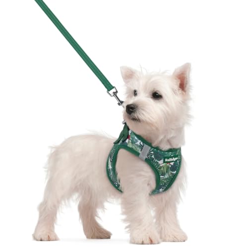 Image of rabbitgoo Dog Harness Small Sized and Leash Set, Step-in Puppy Pet Vest