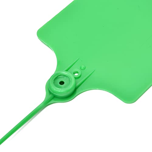 200pcs Plantes Étiquettes En Plastique PVC Perforé Étiquettes Suspendues Jardinage Fleur